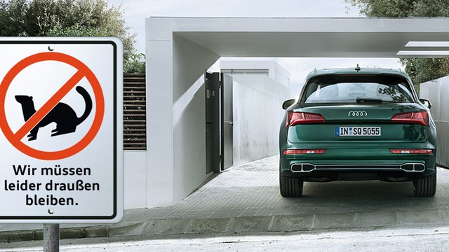 Audi Marderschutz einbauen